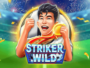 Striker Wild screenshot